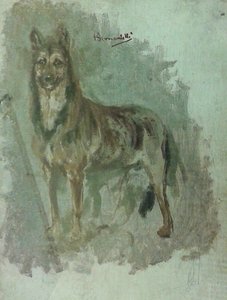 Studie av et dyr [hund]